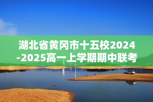 湖北省黄冈市十五校2024-2025高一上学期期中联考 化学试题（答案）