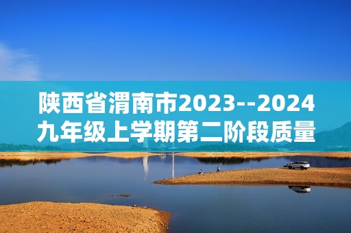 陕西省渭南市2023--2024九年级上学期第二阶段质量检测化学试题（答案）