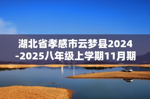 湖北省孝感市云梦县2024-2025八年级上学期11月期中数学试题（含答案）