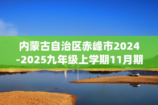 内蒙古自治区赤峰市2024-2025九年级上学期11月期中化学试题(答案)