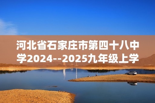 河北省石家庄市第四十八中学2024--2025九年级上学期期中测试化学试卷(答案)