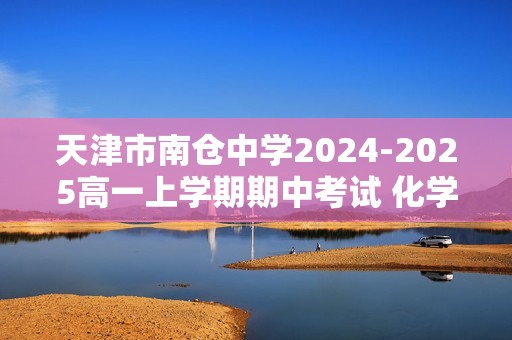 天津市南仓中学2024-2025高一上学期期中考试 化学试卷（图片版无答案）