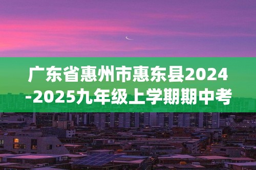 广东省惠州市惠东县2024-2025九年级上学期期中考试化学试题(图片版,含答案)