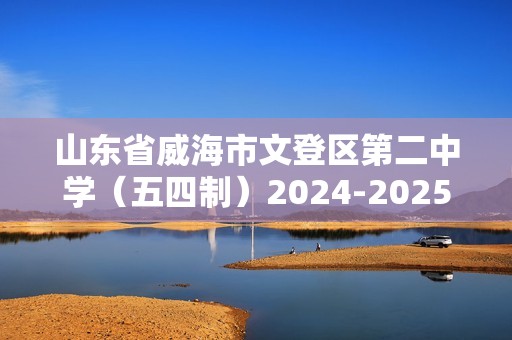 山东省威海市文登区第二中学（五四制）2024-2025八年级上学期期中考试化学试题（答案）