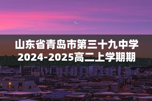 山东省青岛市第三十九中学2024-2025高二上学期期中考试数学试卷（图片版含解析）