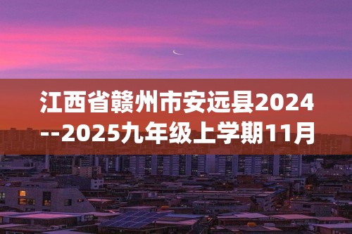 江西省赣州市安远县2024--2025九年级上学期11月期中化学试题(答案)