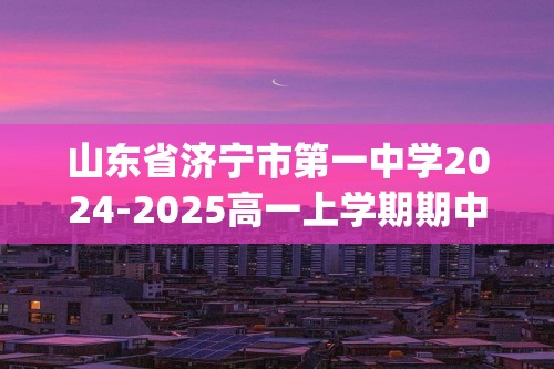 山东省济宁市第一中学2024-2025高一上学期期中考试化学试题(无答案)