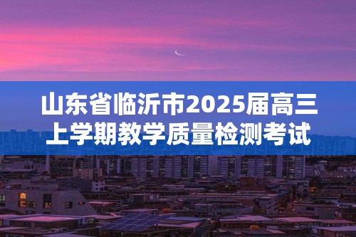 山东省临沂市2025届高三上学期教学质量检测考试暨期中考试（九五联考）化学