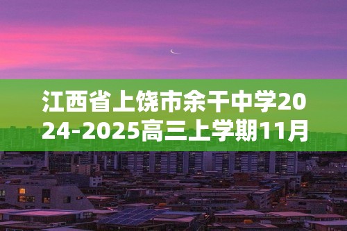 江西省上饶市余干中学2024-2025高三上学期11月期中考试 化学试题（答案）