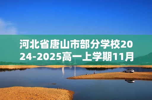 河北省唐山市部分学校2024-2025高一上学期11月期中联考化学试卷（答案）