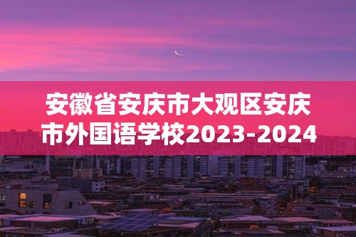 安徽省安庆市大观区安庆市外国语学校2023-2024九年级上学期期末化学试题