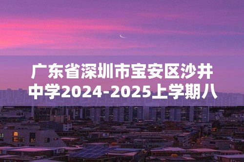 广东省深圳市宝安区沙井中学2024-2025上学期八年级期中考试数学试卷（含答案）