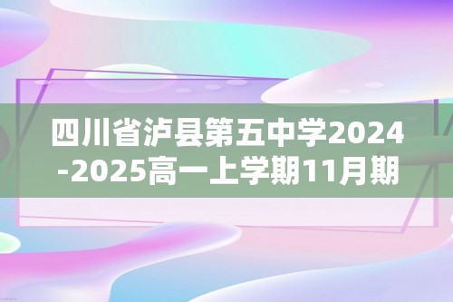 四川省泸县第五中学2024-2025高一上学期11月期中考试 化学试题