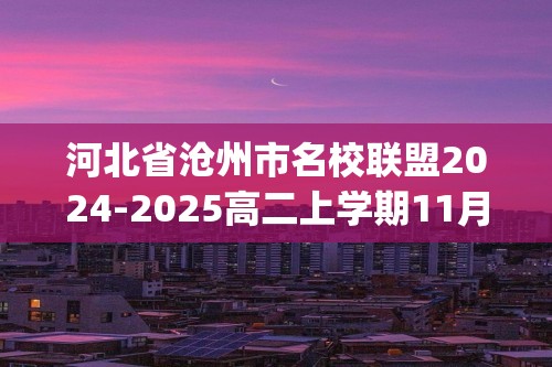 河北省沧州市名校联盟2024-2025高二上学期11月期中考试 化学试题(无答案)