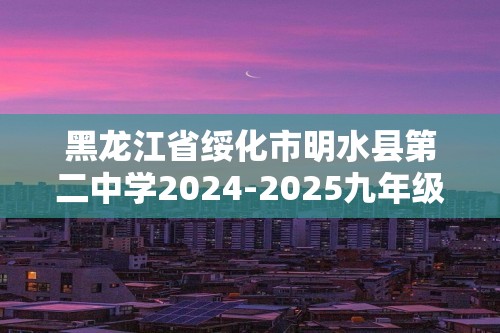 黑龙江省绥化市明水县第二中学2024-2025九年级上学期11月期中考试化学试题（答案）