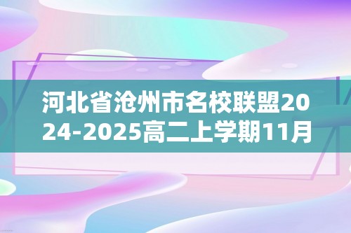 河北省沧州市名校联盟2024-2025高二上学期11月期中考试 化学试题（图片版含答案）