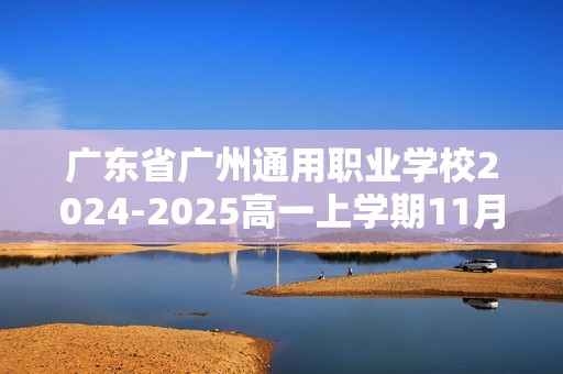 广东省广州通用职业学校2024-2025高一上学期11月期中考试化学试题（无答案）