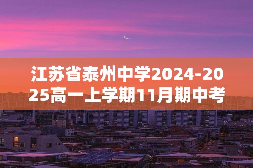 江苏省泰州中学2024-2025高一上学期11月期中考试 化学试题（答案）