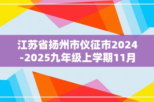 江苏省扬州市仪征市2024-2025九年级上学期11月期中考试化学试题（图片版含答案）