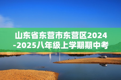 山东省东营市东营区2024-2025八年级上学期期中考试化学试题（图片版含答案）