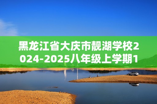 黑龙江省大庆市靓湖学校2024-2025八年级上学期11月期中考试化学试题（答案）