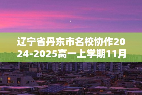 辽宁省丹东市名校协作2024-2025高一上学期11月期中化学试题（答案）