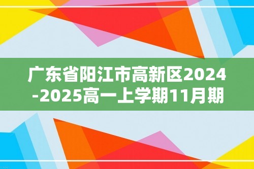 广东省阳江市高新区2024-2025高一上学期11月期中考试 化学（答案）