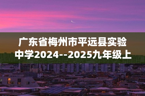 广东省梅州市平远县实验中学2024--2025九年级上学期期中考试化学试题(无答案)