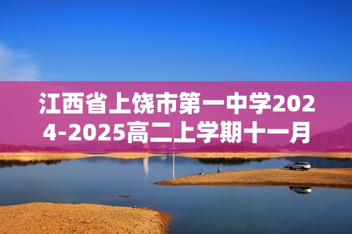 江西省上饶市第一中学2024-2025高二上学期十一月化学测试题（答案）