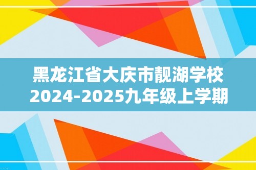 黑龙江省大庆市靓湖学校2024-2025九年级上学期11月期中考试化学试题（答案）