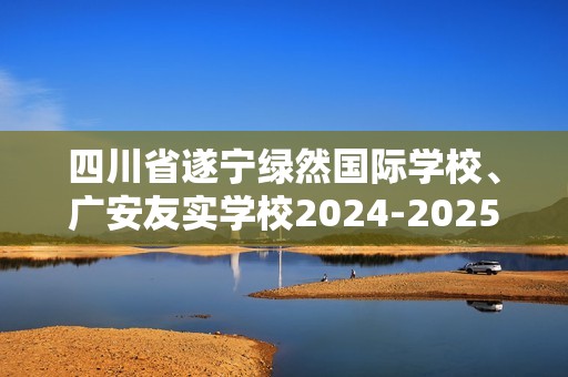 四川省遂宁绿然国际学校、广安友实学校2024-2025高二上学期期中联考化学试题（2-6班）（答案）