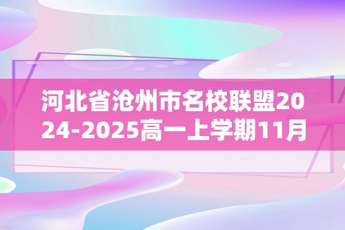 河北省沧州市名校联盟2024-2025高一上学期11月期中考试 化学试题（无答案）