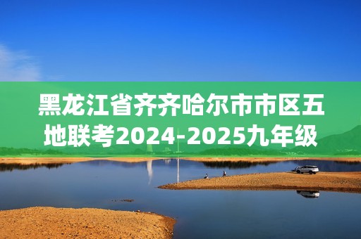 黑龙江省齐齐哈尔市市区五地联考2024-2025九年级上学期11月月考化学试题(答案)