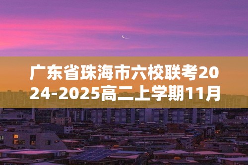 广东省珠海市六校联考2024-2025高二上学期11月期中考试化学试卷（答案）