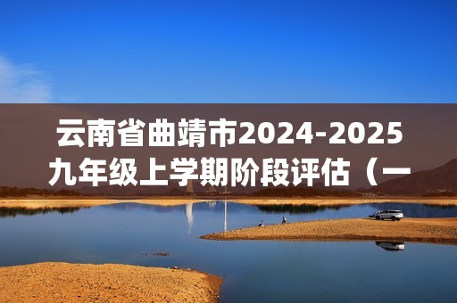 云南省曲靖市2024-2025九年级上学期阶段评估（一）化学试题(答案)