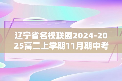 辽宁省名校联盟2024-2025高二上学期11月期中考试 化学 （答案）