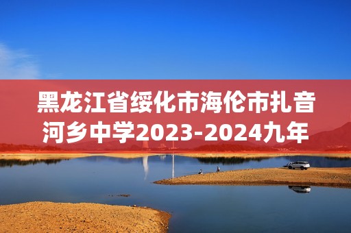 黑龙江省绥化市海伦市扎音河乡中学2023-2024九年级上学期期末考试化学试卷(含解析)