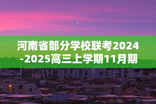 河南省部分学校联考2024-2025高三上学期11月期中考试 化学试题（答案）