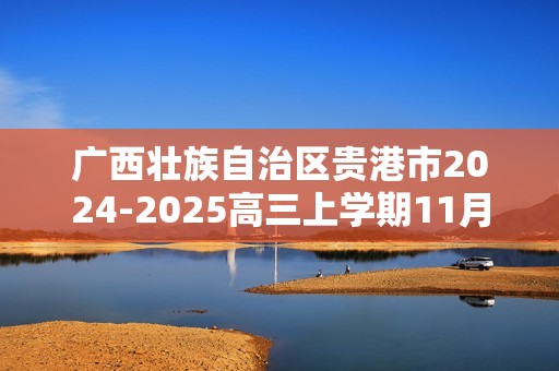 广西壮族自治区贵港市2024-2025高三上学期11月月考化学试题（答案）