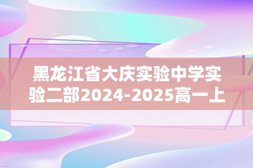 黑龙江省大庆实验中学实验二部2024-2025高一上学期期中考试 化学试卷（答案）