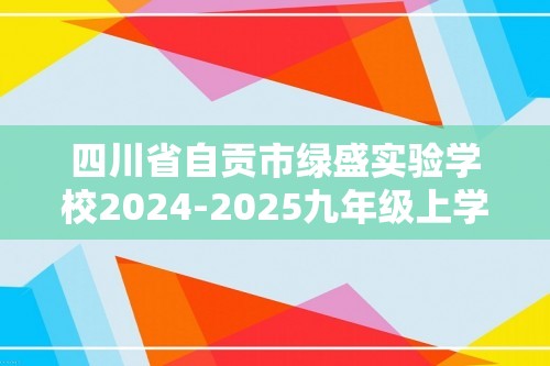 四川省自贡市绿盛实验学校2024-2025九年级上学期期中考试化学试题（图片版无答案）