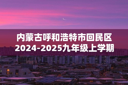 内蒙古呼和浩特市回民区2024-2025九年级上学期期中测试化学试卷（答案）