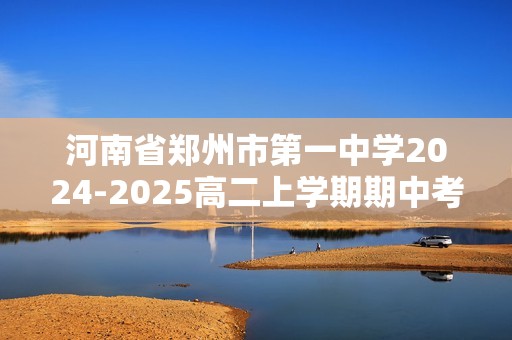 河南省郑州市第一中学2024-2025高二上学期期中考试化学试卷（答案）