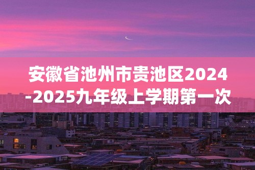 安徽省池州市贵池区2024-2025九年级上学期第一次联考化学试卷(图片版,含答案)