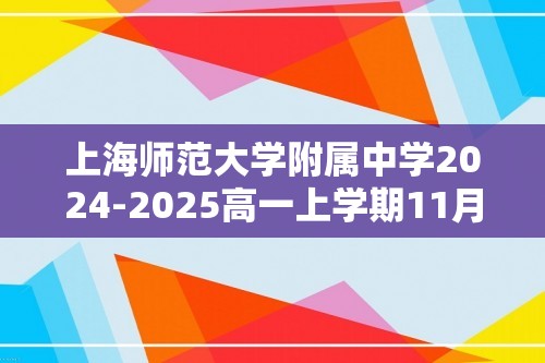 上海师范大学附属中学2024-2025高一上学期11月月考 化学试卷（答案）