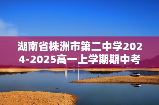 湖南省株洲市第二中学2024-2025高一上学期期中考试化学试题（答案）