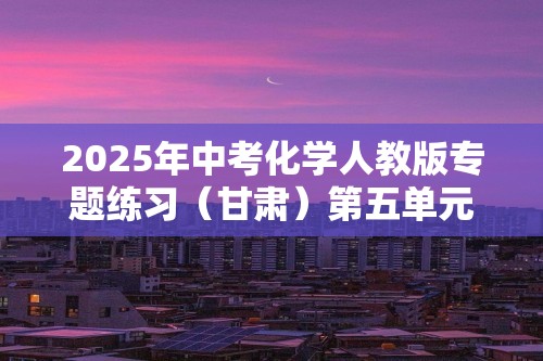 2025年中考化学人教版专题练习（甘肃）第五单元  化学反应的定量关系 测评（学生版+教师版）