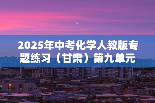 2025年中考化学人教版专题练习（甘肃）第九单元  溶 液 测评（学生版+教师版）