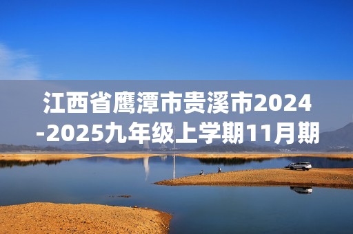 江西省鹰潭市贵溪市2024-2025九年级上学期11月期中考试化学试题(答案)