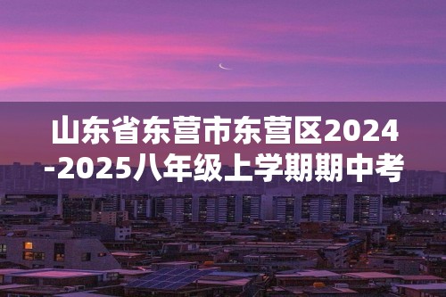 山东省东营市东营区2024-2025八年级上学期期中考试化学试题（答案）